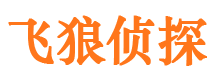 朝阳区市婚外情调查